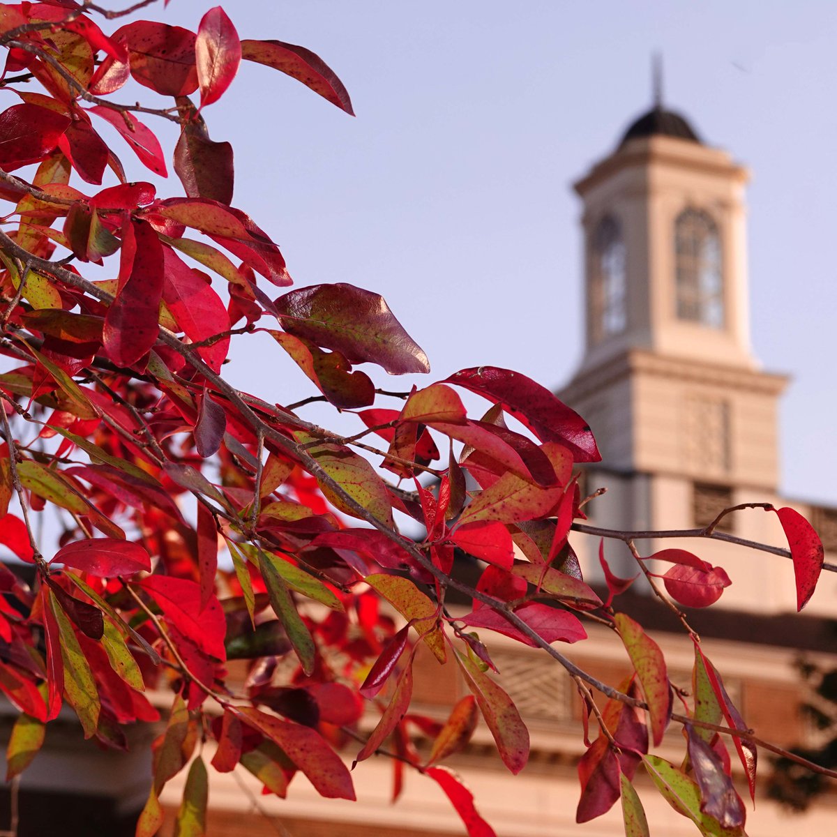 FarmerSchoolMU's tweet photo. #FallforMiami #MyFSB #MiamiOH #HappyFriday #allthecolors https://t.co/4EE9UQmYhy