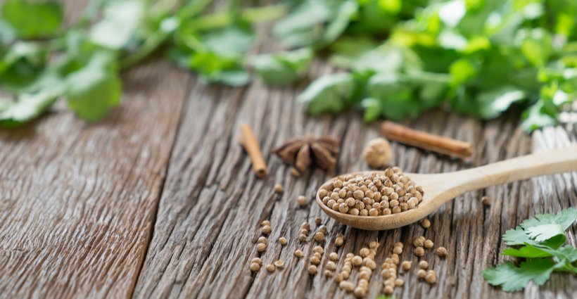 LivingYoung_Luv's tweet photo. Young Living adds Coriander to many of their body products. #essentialoils #youngliving https://t.co/Hy2H0l2Dvj https://t.co/8uyO3HuZuB