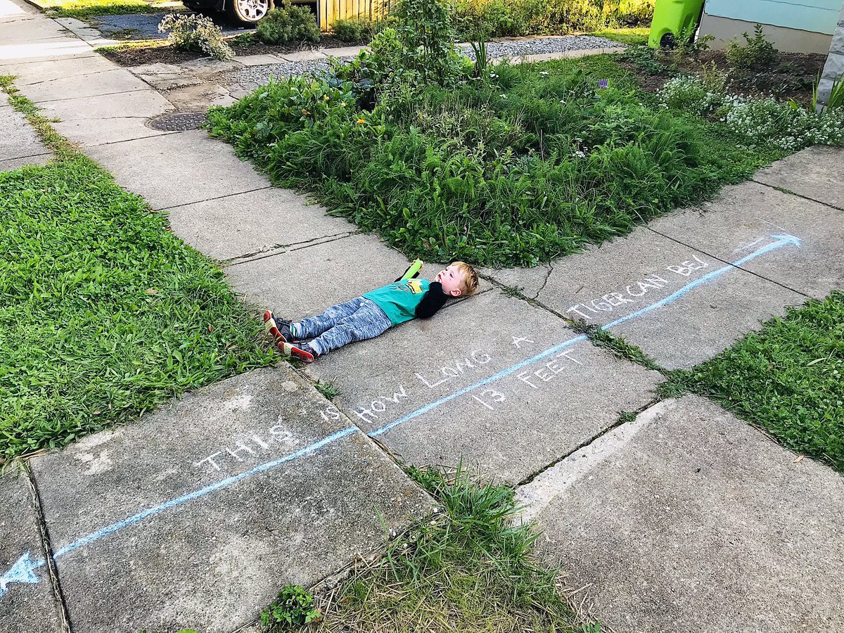 “This is how long a tiger can be - 13 ft”
*Has been blowing kids minds 🤯all week.*
Museums can be outside.
They can be temporary.
They can be as small as a moment.
Let’s expand the definition 🙌