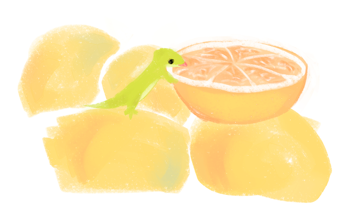 Keyword Stats 2020-10-22 at 19_58_36