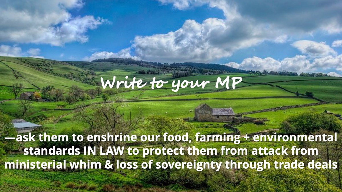 Yes, I know you're cross that 53% of Farmers believed Brexit lies and that you saw VoteLeave signs up in their fields 'cos the Remain campaign didn't engage with farmers and issue them with signs, but write to your MP to stop this crap ending up on YOUR plate. #SaveOurStandards