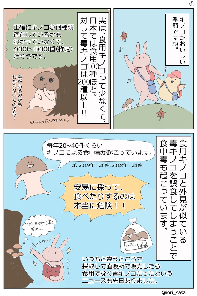 スーパーのキノコ売場が充実して、炊き込みご飯がおいしい季節ですね。
10月は毒キノコによる食中毒のピークということで、毒キノコを扱ってみました。
今まで、毒キノコを食べなければ大丈夫でしょと思っていましたが、触るのも危険なキノコがあったとは衝撃でした。
#毒キノコ #食中毒 