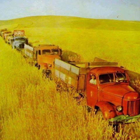 Яг юу бүтээчээд Монголоо голоод байдаг хүмүүс байдаг юм бүү мэд! Олигтойхон Сонгуульд ч оролцож чаддаггүй байж Улс Төрчдийг муулна! Олигтойхон ажил хийж үзээгүй байж Улсын хөгжлийг муулна! ТАВИЛАН ЮМ ДАА!!!