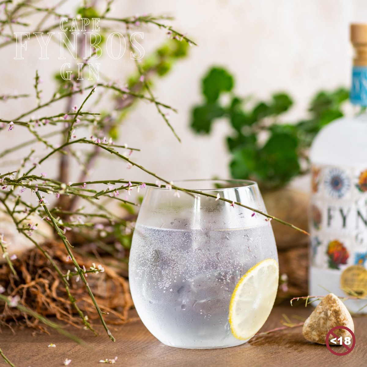 Name a better duo. We’ll wait #CapeFynbosGin