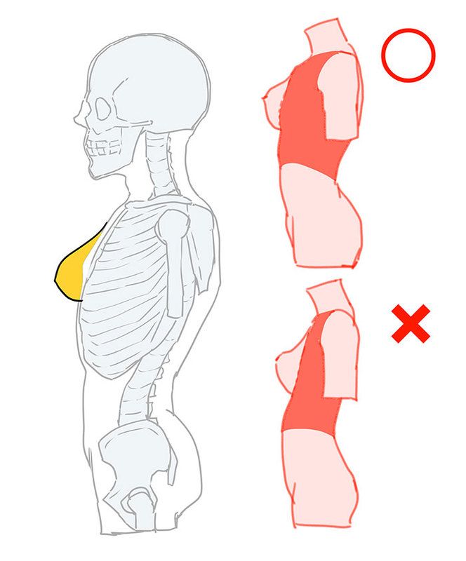 Twitter 上的 いちあっぷ By Mugenup クリエイティブ制作会社 間違いやすい胸のお肉の付け方 胸の脂肪は肋骨と大胸筋の上に付いている 肋骨のラインを意識すると綺麗なシルエットにできます 凹凸と比率を覚えて描きやすくなる 胴体の描き方講座 いち