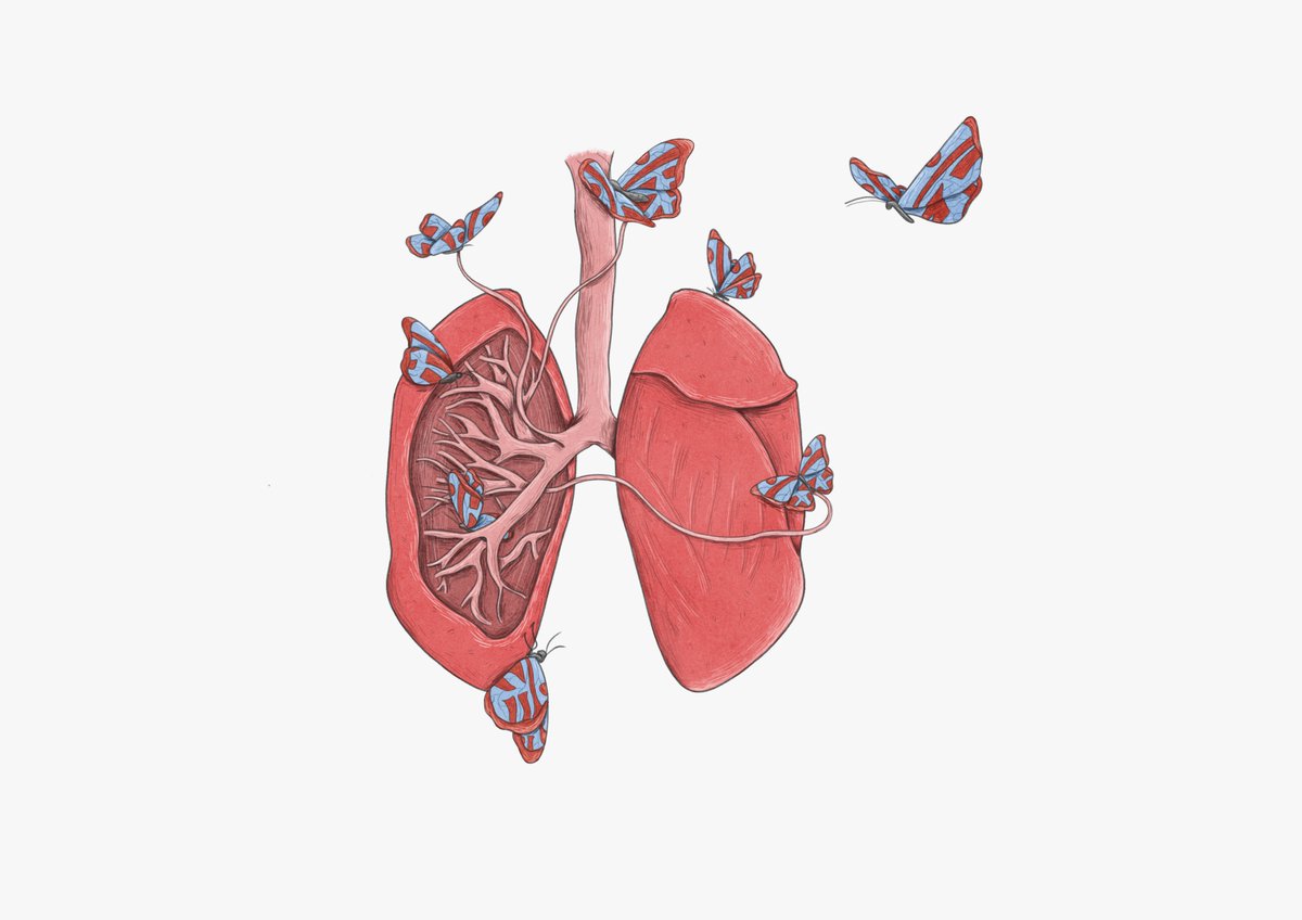 La tuberculosis ( #TB) es la enfermedad infecciosa más mortal. Mata a millones de personas en todo el mundo.Defendemos el acceso a medicamentos para la tuberculosis mejores y más asequibles para mantener esta enfermedad bajo control.Dibujo de @rafikillustration #inktober2020