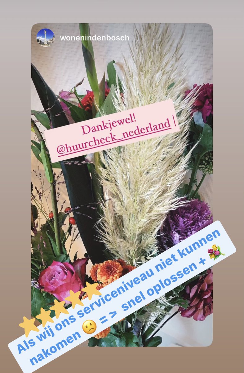 Soms moet je klanten teleurstellen, dat doen we niet graag. 🙁
Anderzijds, leren wij daar wel veel van, zodat we in de toekomst hierop beter kunnen inspelen 👍💐 

Graag gedaan makelaardij PasVerhuurt 👍 Bedankt voor jullie geduld.