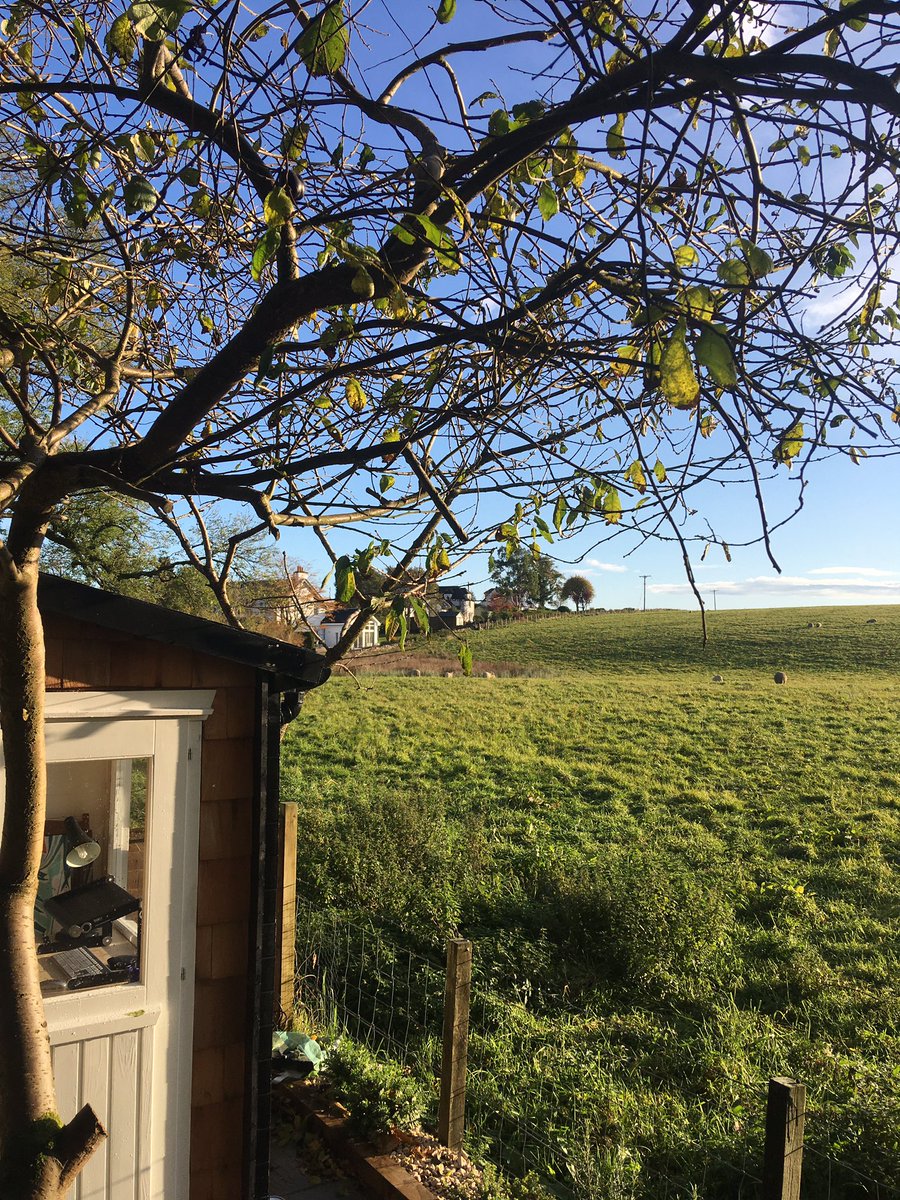 RiaDunkley's tweet photo. Good morning sheep and βοΈ in the #shoffice for morningβs #Meduc4 tutorial! https://t.co/YqvT8UOhry