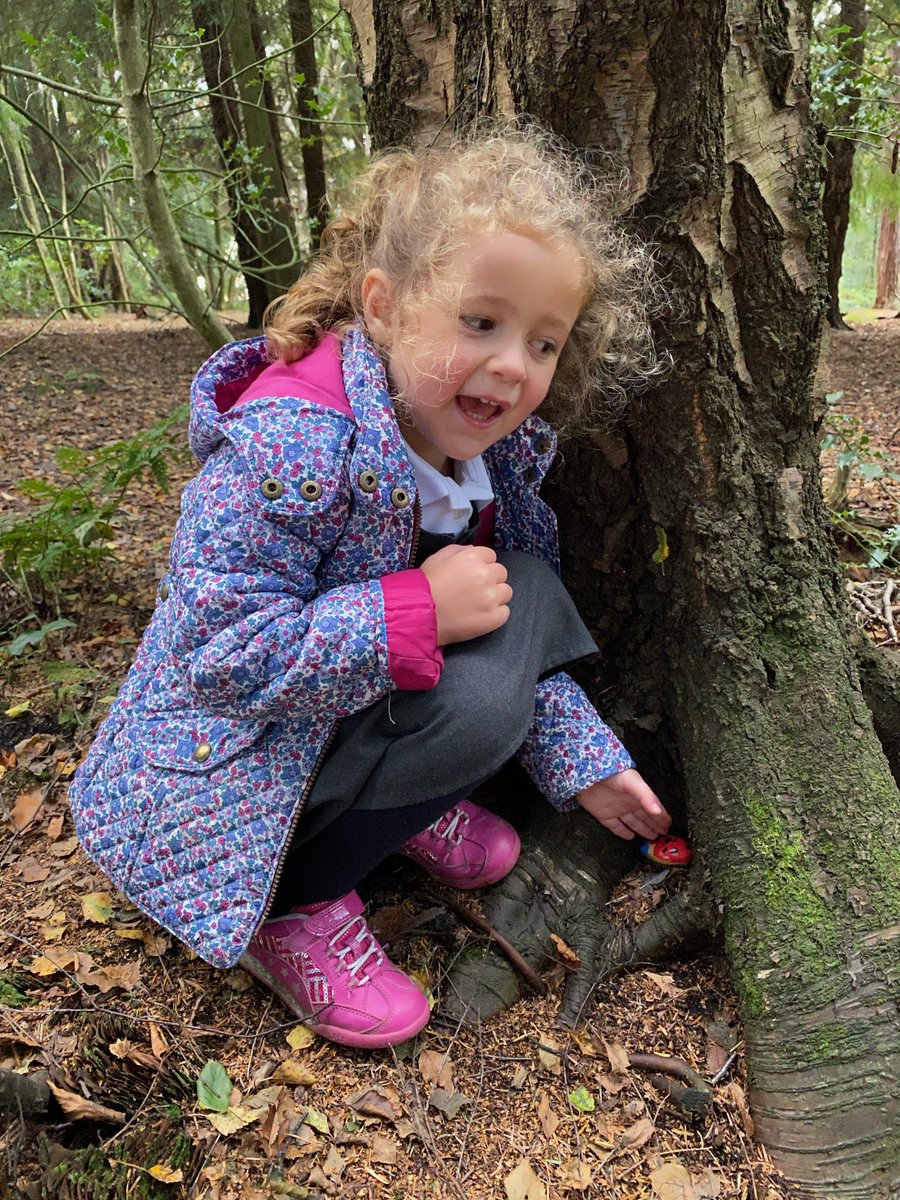 davidsilkstone's tweet photo. @PinewoodsHgt More painted stones hidden in the #Harrogate #Pinewoods by our 4YO rock artist for people to find or relocate! - can you find them?
#PinewoodsRocks #Silkstones
@KateBB76 @HindLucy @NeilHind @hapara https://t.co/81NSAOVbFo