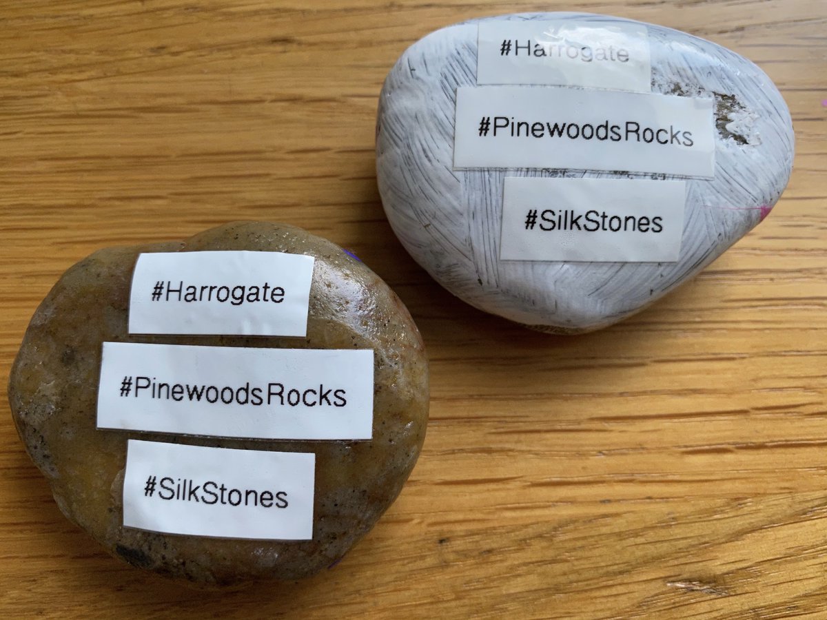 davidsilkstone's tweet photo. @PinewoodsHgt More painted stones hidden in the #Harrogate #Pinewoods by our 4YO rock artist for people to find or relocate! - can you find them?
#PinewoodsRocks #Silkstones
@KateBB76 @HindLucy @NeilHind @hapara https://t.co/81NSAOVbFo