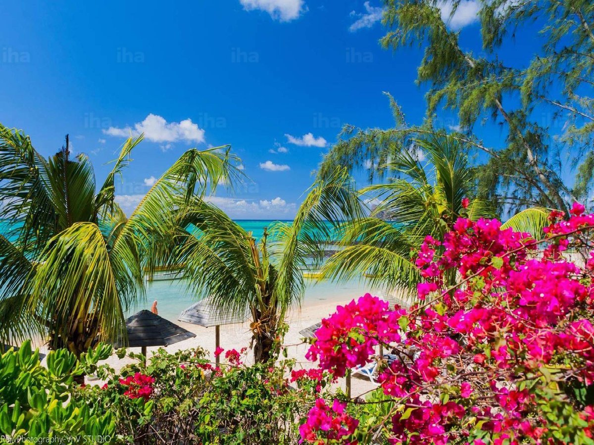 MauritiusGuide tweet picture