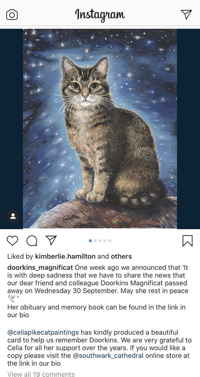 RIP my old friend <a href="/DoorkinsM/">Doorkins Magnificat</a> who worked at <a href="/Southwarkcathed/">Southwark Cathedral</a> 😿