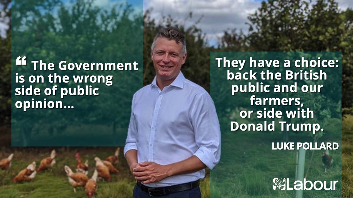 Chickens have to be washed in chlorine because farming standards in the USA —from the conditions eggs are laid in, to those chicks hatch in & chickens are reared in, until ready for slaughter— are much lower than ours. Chlorination masks low  #AnimalWelfare.  #SaveBritishFarming