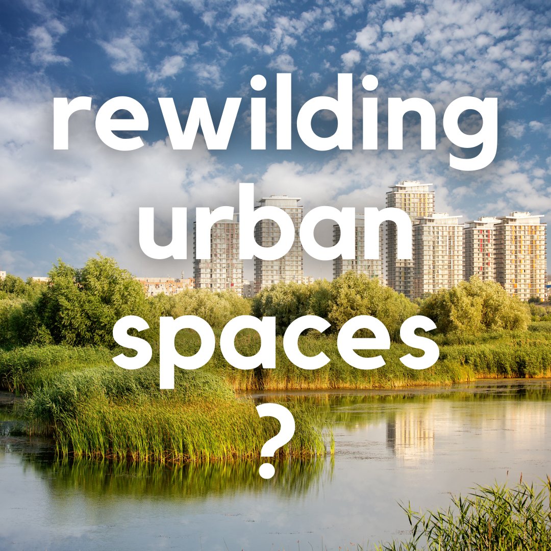 Live in #London or #GreaterLondon? Please spare 5 mins to complete a survey about #Rewilding Urban Spaces for a 3rd Year Uni student researching for her dissertation on "An investigation into the success of rewilding an urban space". Survey link is👉 bit.ly/3lqtRzJ 💚