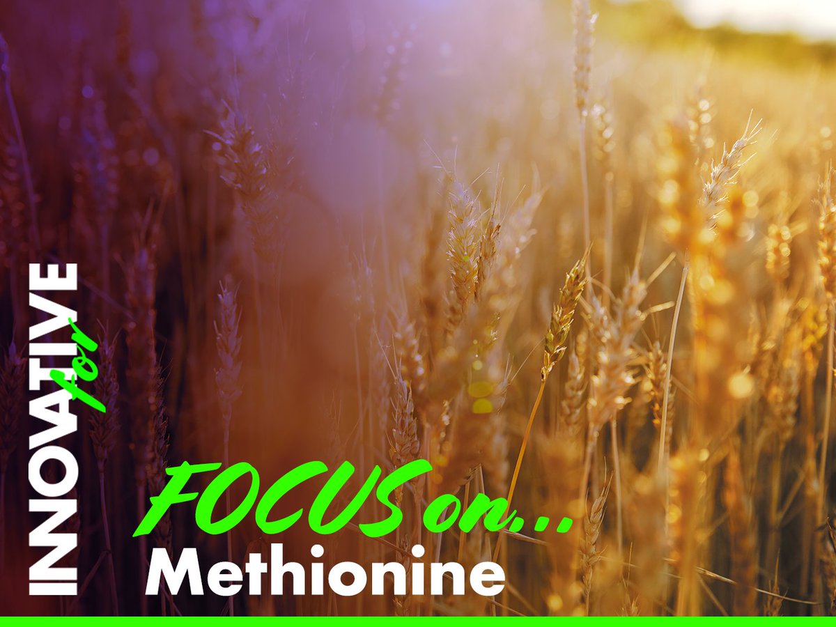 Arkema_group's tweet photo. The unique industrial process developed with our partner #CheilJedang produces bio-methionine that is particularly effective in the assimilation of nutrients by farmed animals #InnovativeFor #URBANIZATION
https://t.co/n8skP7UpED https://t.co/JK8QBVtdrO