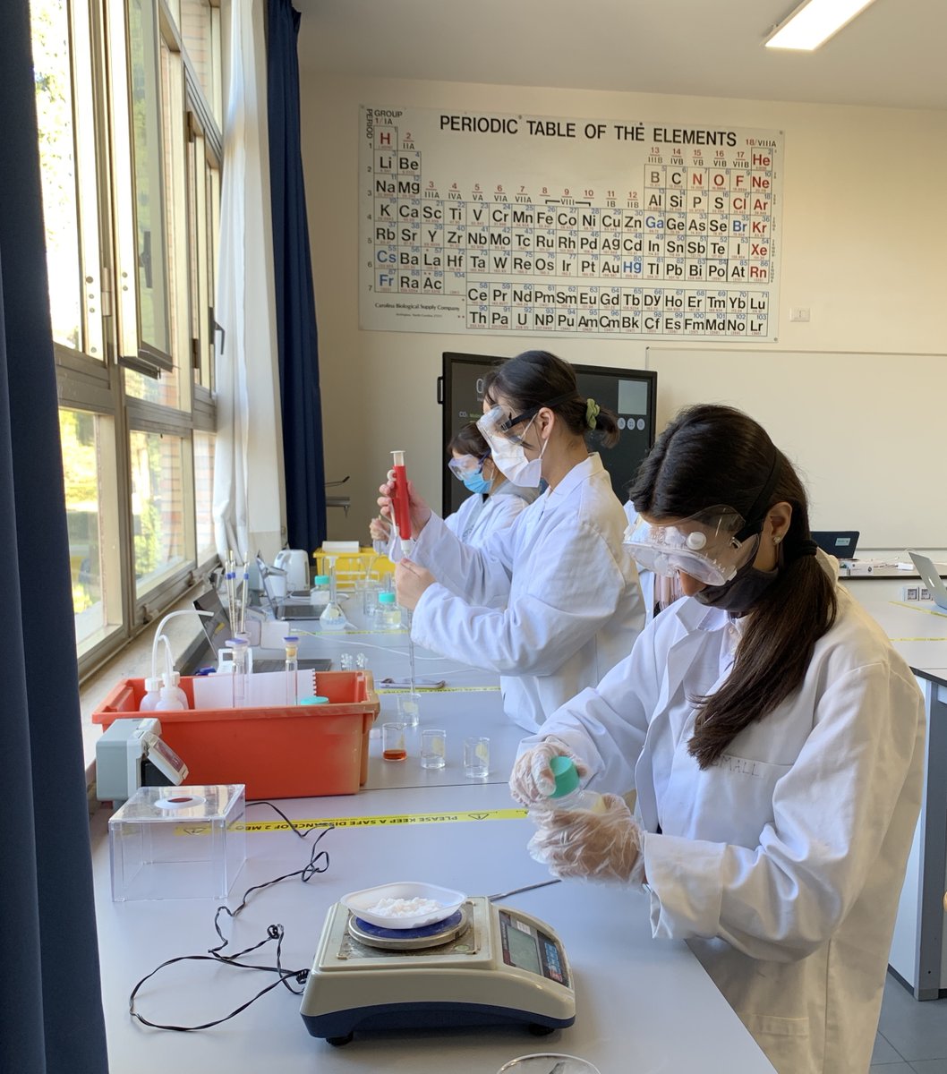 IB Chemistry students in Gr. 12 are busy working on experiments that will become a part of their final internal assessment grade. Choices include: making aspirin, making soap, monitoring the rate of a reaction using color change, and measuring the thermal stability of compounds.