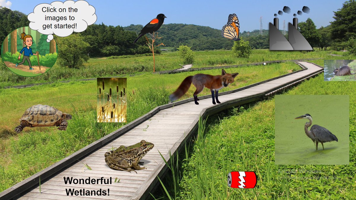 Field trip Friday! Are you teaching online? Maybe this can help. Wetlands offer a huge amount of biodiversity. Students can still visit these incredible habitats for free virtually! Edit for you and paste into your Google Classroom. bit.ly/30NNdqM #wetlands