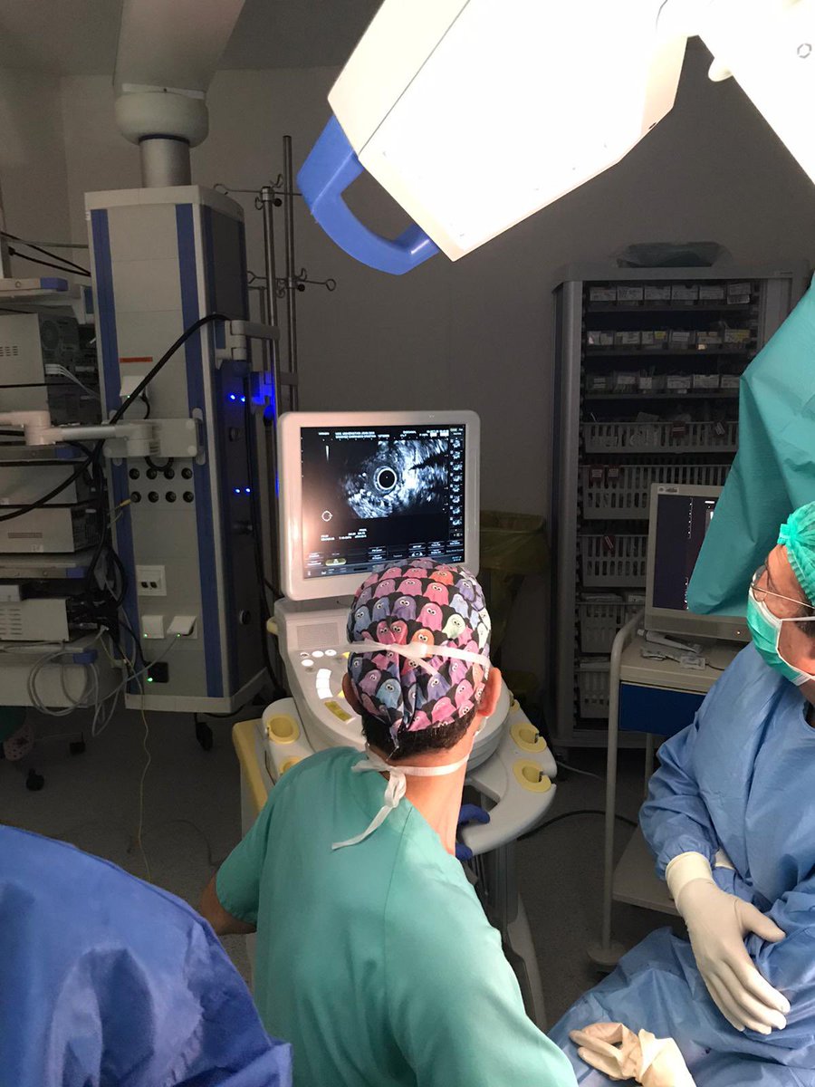 BIOCABLAN_SL's tweet photo. Acabamos la semana con la jornada de técnicas de implantación anal de THD Gatekeeper®️ y THD Sphinkeeper®️ para la incontinencia fecal con Dra. Arantxa Muñoz-Duyos, Dr. Francesc Feliu, Dr Jorge Escuder y Dr. Ricard Sales 🤩👏🏻 #THDGatekeeper #THDSphinkeeper #incontinenciafecal https://t.co/hFroJY7uUW