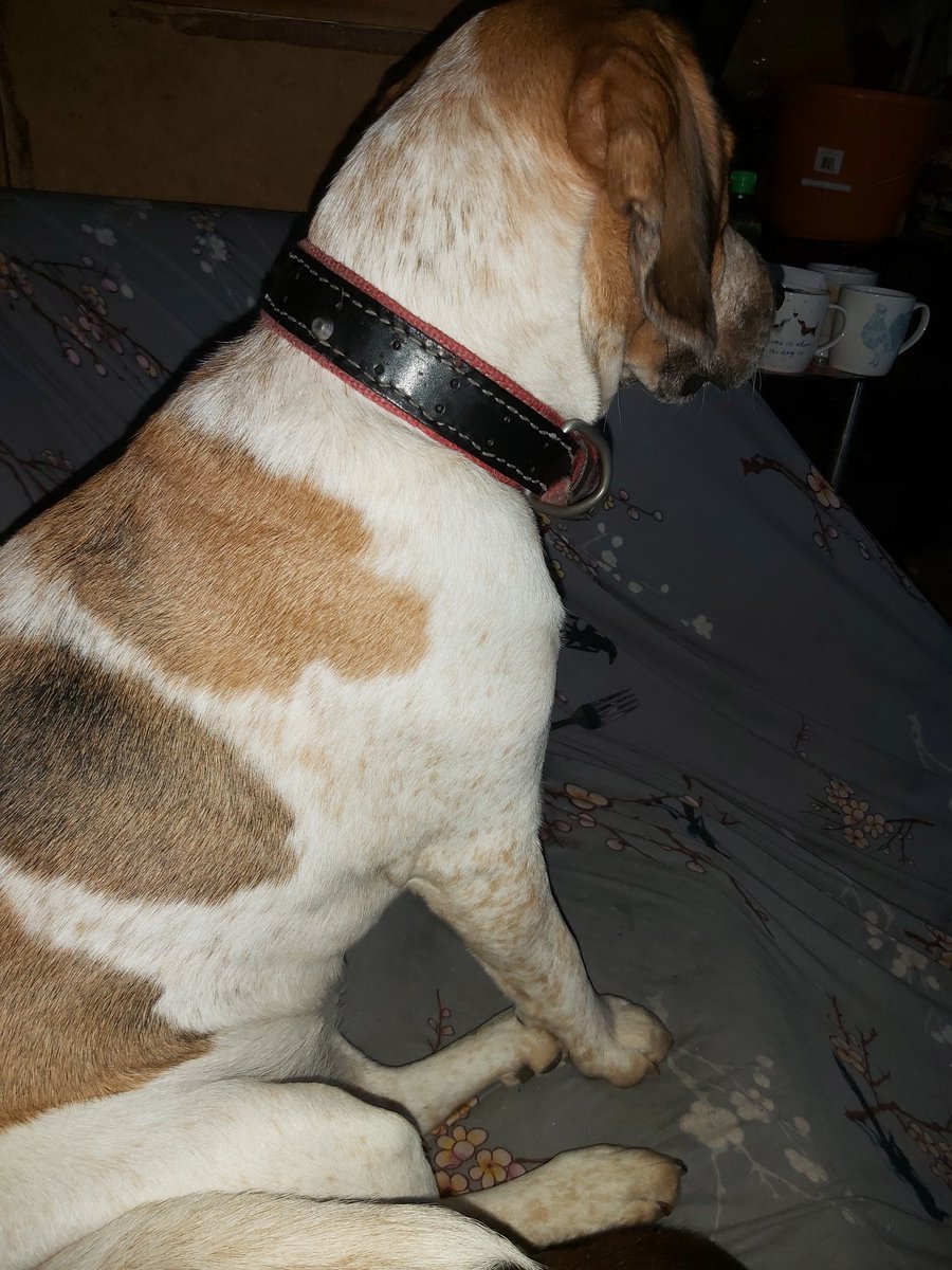 Torranbrown's tweet image. Not talking