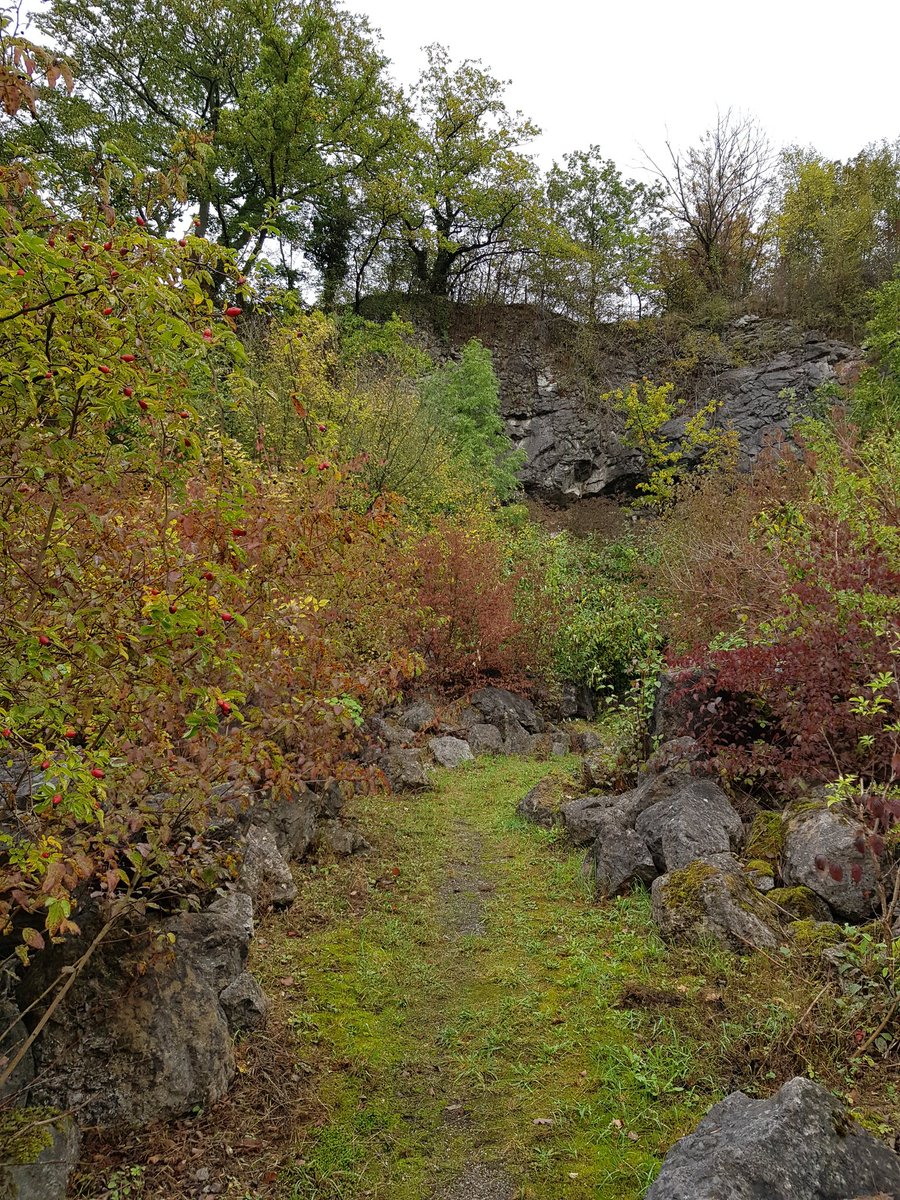 lissi 🧝🏻‍♀️ tweet media