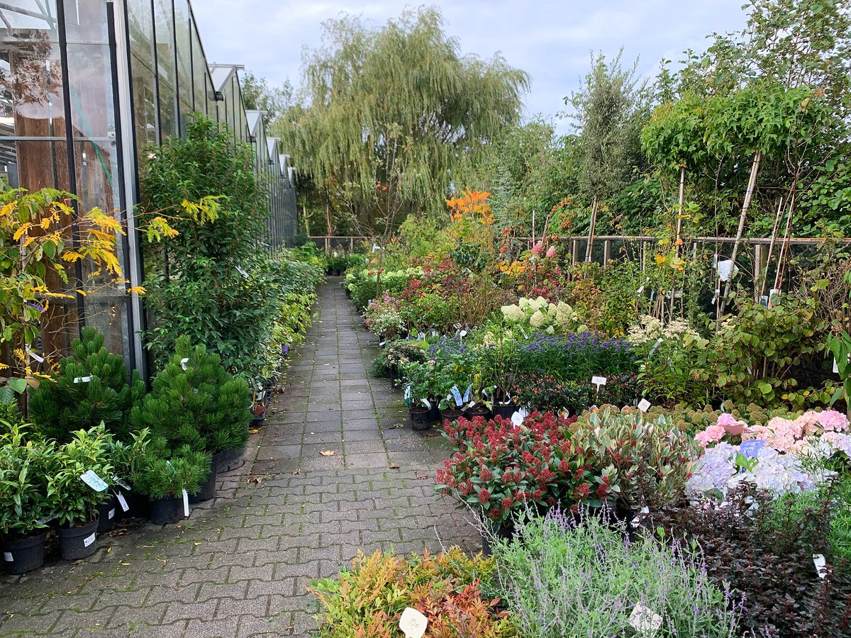 Kom je ook eens langs in ons fleurige tuincentrum op #Texel?