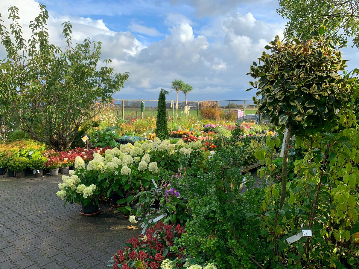 HansHalsema's tweet photo. Kom je ook eens langs in ons fleurige tuincentrum op #Texel? https://t.co/UoXHbSxclF
