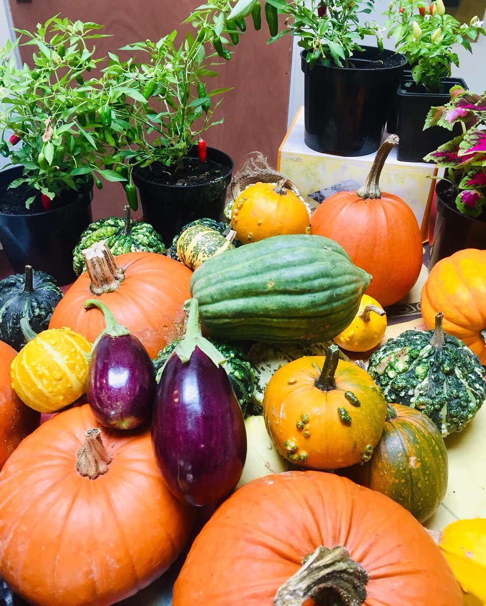 The Talbot tweet media