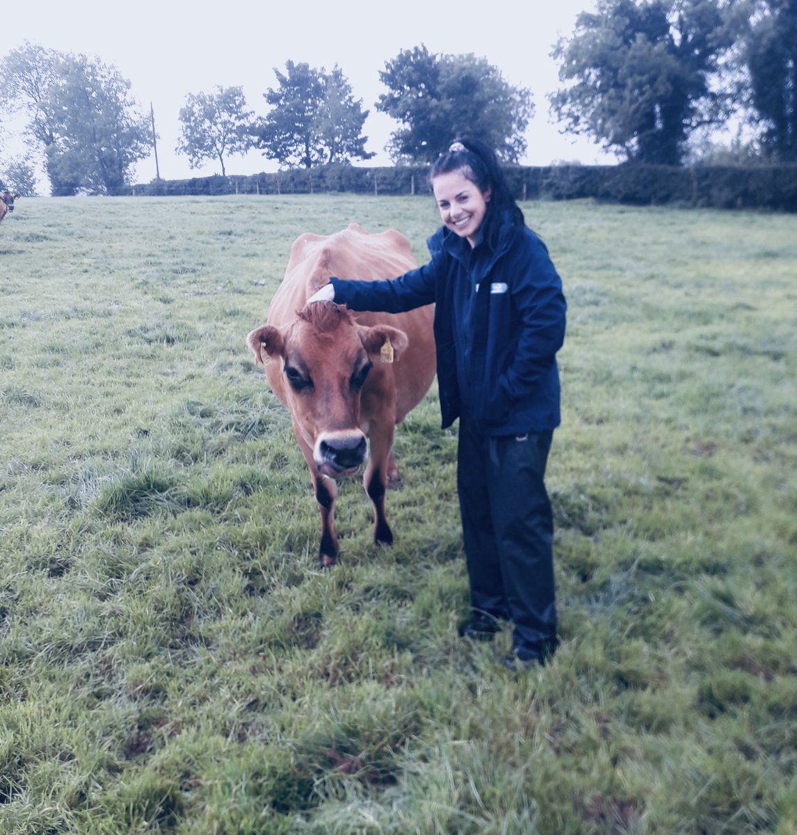 Fane Valley Feeds tweet media