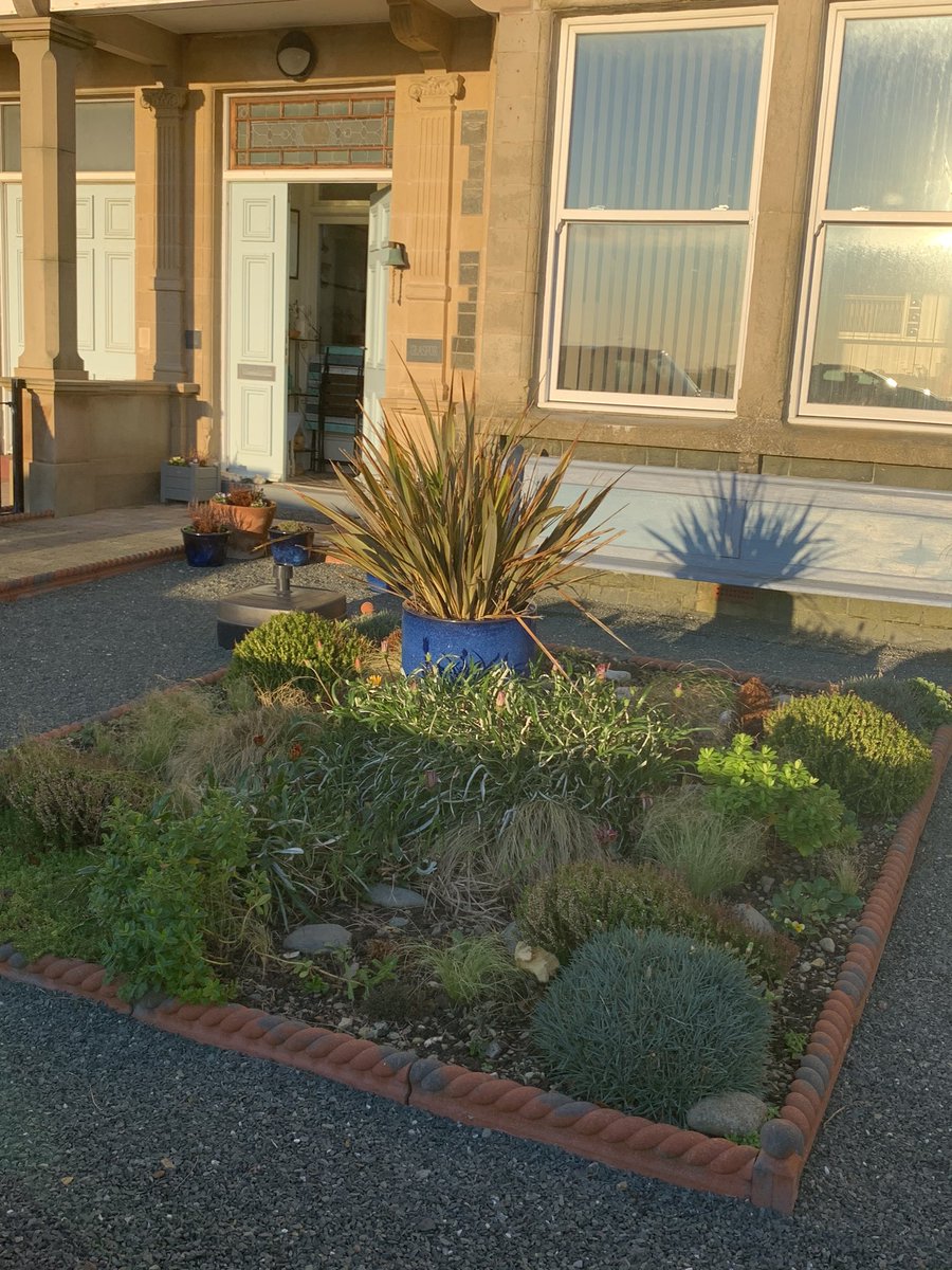 LindyLouMac's tweet image. The front flower bed in the early evening light yesterday. Whilst looking for inspiration for the prompt today I realised how much it has developed and changed since the unmade bed in the second photo! #fmsphotoaday #home #fms_anunmadebed #garden #flowerbed #flowerbeddesign