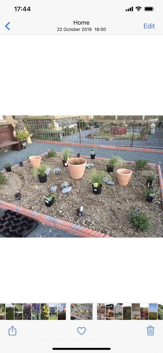 LindyLouMac's tweet image. The front flower bed in the early evening light yesterday. Whilst looking for inspiration for the prompt today I realised how much it has developed and changed since the unmade bed in the second photo! #fmsphotoaday #home #fms_anunmadebed #garden #flowerbed #flowerbeddesign