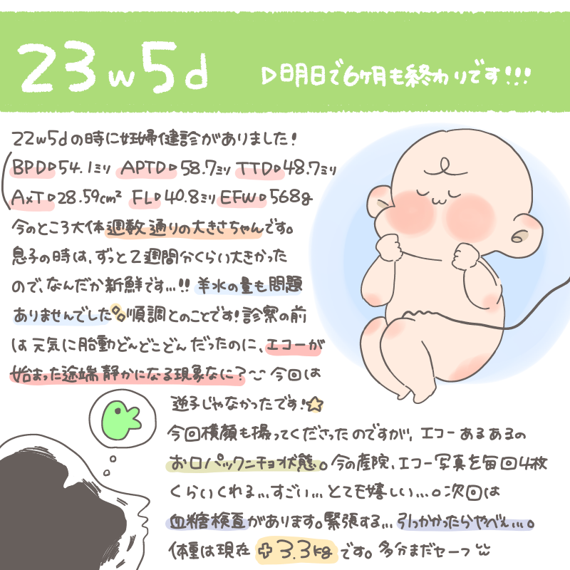 #妊婦日記 #妊娠中期 1週間前ですが、4回目の妊婦健診を受けてきました?今回初めて推定体重がわかりました〜!600g…500mlのペットボトルより重いなんて…そりゃあお腹重いよなぁ??実はちょっとだけ足が長めなんです、はい。(親バカ✌️)人間らしくなってきました??#22w 