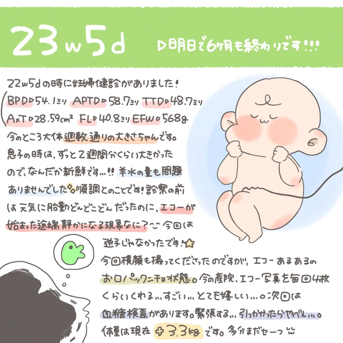 #妊婦日記 #妊娠中期 1週間前ですが、4回目の妊婦健診を受けてきました?今回初めて推定体重がわかりました〜!600g…500mlのペットボトルより重いなんて…そりゃあお腹重いよなぁ??実はちょっとだけ足が長めなんです、はい。(親バカ)人間らしくなってきました??#22w 