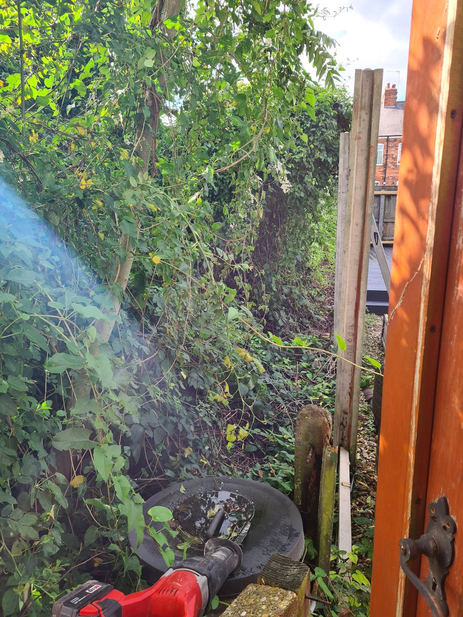 cityjunkltd's tweet photo. Green waste cleared ready for the landscapers 🚜 email us for more info  👍    hello@city-junk.com #contactless #recycling #Hull https://t.co/r1rxFG45Cj