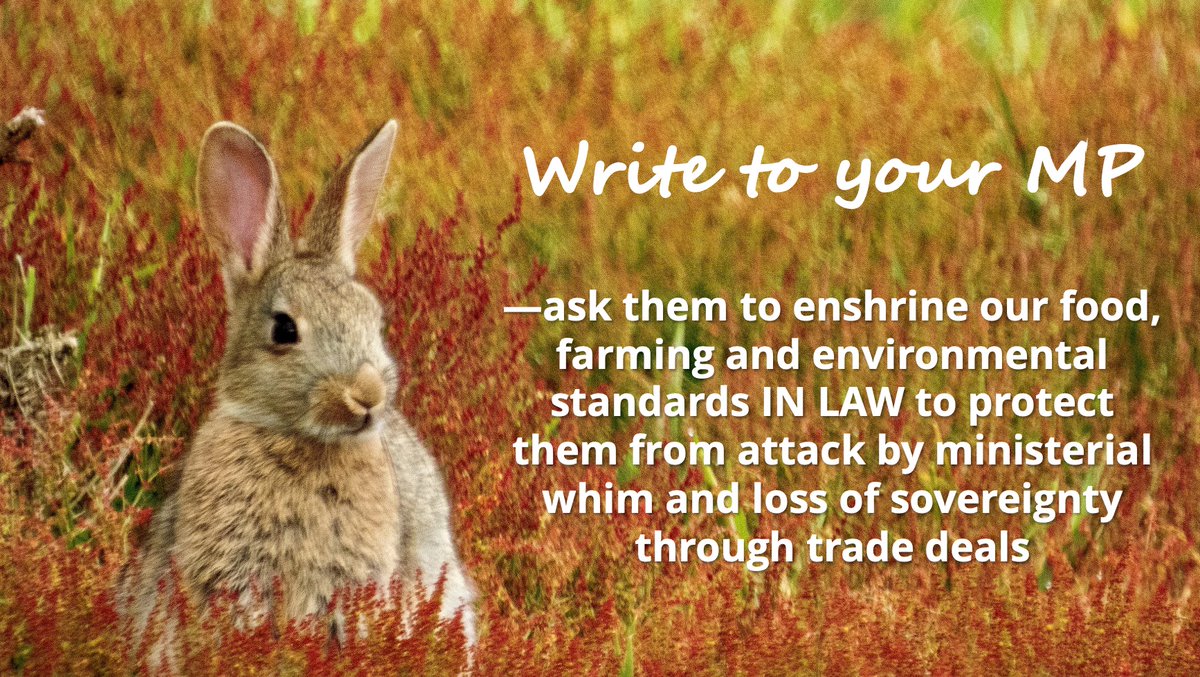 And yes, I also know that your MP might be a hopeless case, that you never get satisfactory answers from them — if they bother to answer at all. BUT WRITE ANYWAY. The contents of their postbag matters, and even if they disagree with you, they take note. #SaveOurStandards