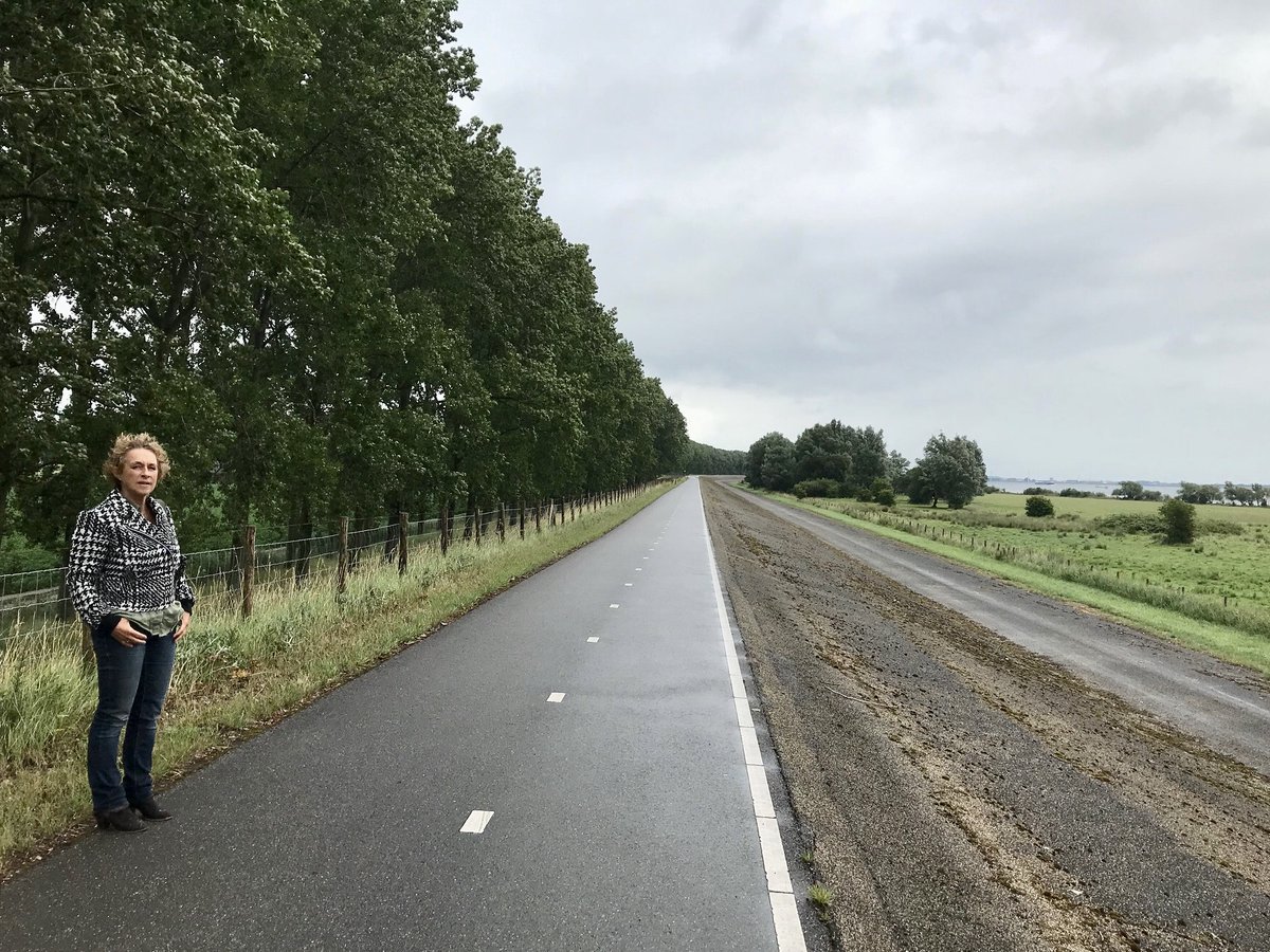 Waterschap Hollandse Delta start maandag met het onderhoud aan 1.139 populieren langs het Volkerak-fietspad bij Oude Tonge. Vleermuizen gebruiken deze bomen als verblijfplaats. De bomen  worden daarom met hulp van een ecoloog vleermuisvriendelijk gesnoeid. wshd.nl/waterschap-sno…