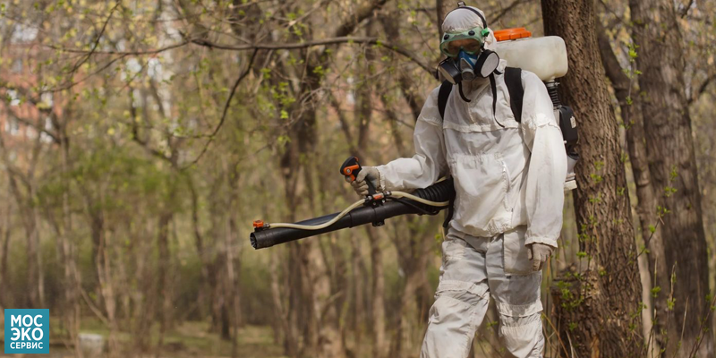 Смотрите на сайте: "Обработка от клещей"  mosecoservice.ru/services/dezin…