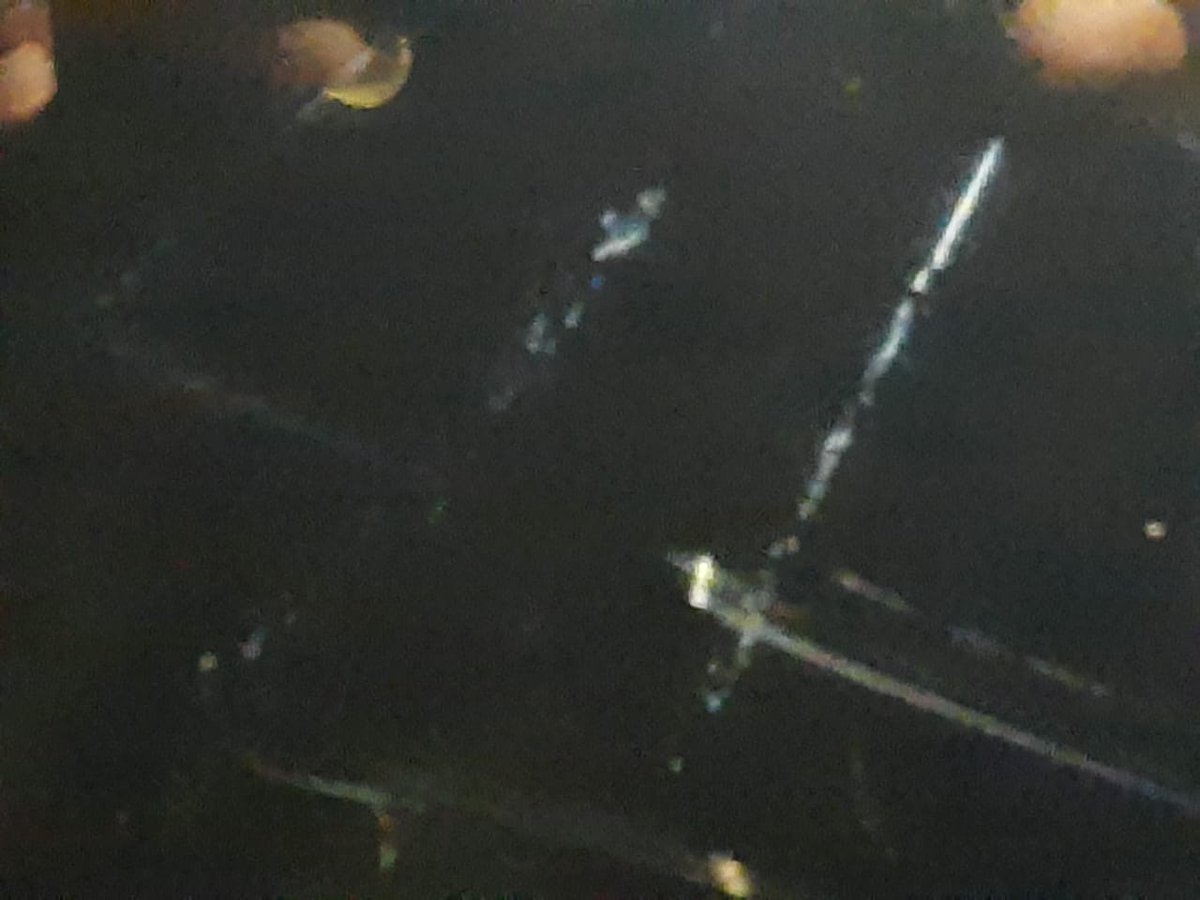 Godfather Omnitechretail Sold Me No Exchange Damaged Tv Works Struck In No Man Land Boycott Flipkart Jeeves Avoid This Seller Omnitechretail T Co 9yxmfyowbv Godfather Omnitechretail Sold Me No Exchange Damaged Tv Works Struck In No Man Land Boycott Flipkart Jeeves Avoid This Seller Omnitechretail T Co 9yxmfyowbv