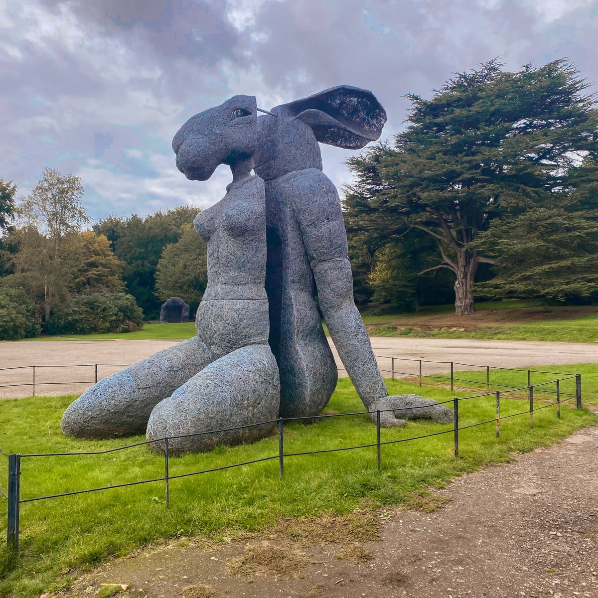 Access Yorkshire tweet media