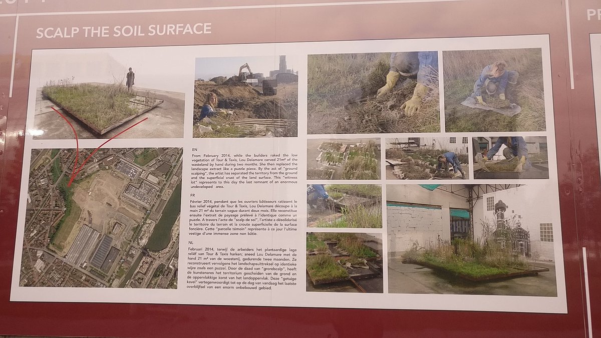 Opleiding <a href="/natuurenbos/">Natuur en Bos</a> in #HermanTeirlinck in Brussel. Over de middag de buiten opzoeken en #TourEnTaxis (familie Von Thurn und Tassis) op een andere manier leren kennen...

'Grondscalp' van #LouDelamare 🌾💚🏭