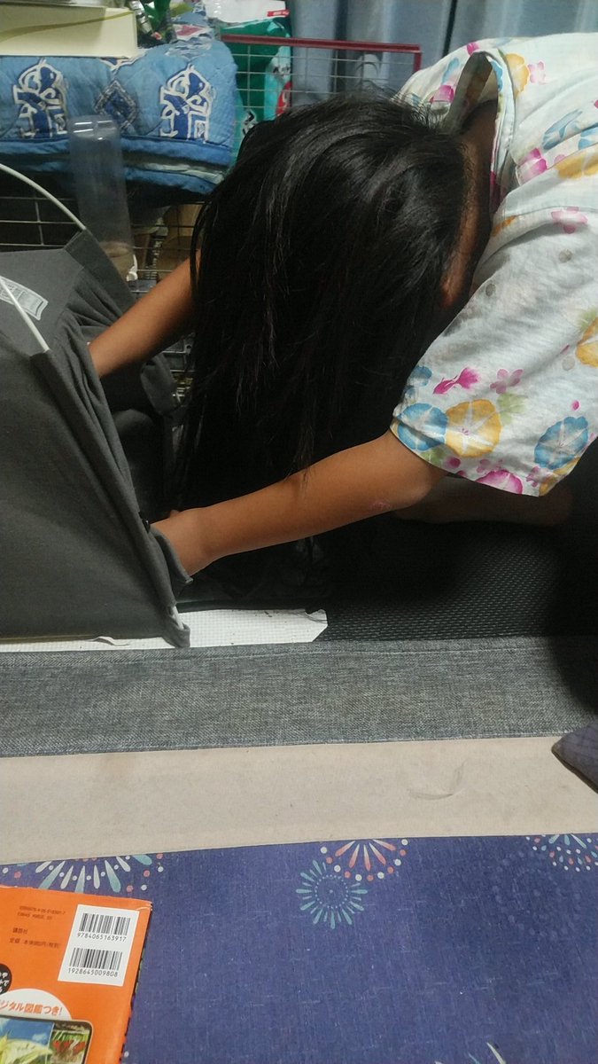 貞子目 貞子目