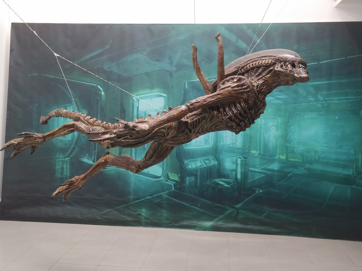 FernandoFRego's tweet photo. Exposición sobre Alien, Predator e ET en Vilagarcía... 

Curtas, Festival do Imaxinario de Vilagarcía de Arousa. 

@CurtasAC  #alien #et #predator #cine #vilagarcia https://t.co/J3e6DMJlsM