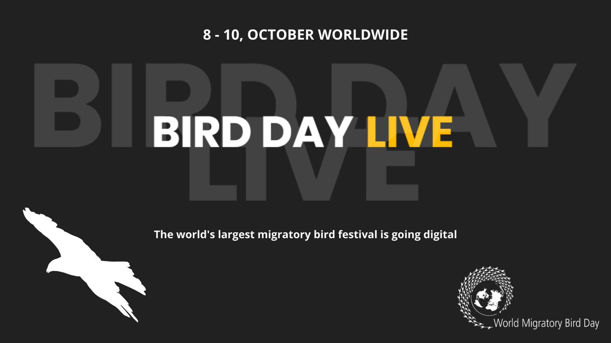 WMBD's tweet photo. #BirdDayLive is back! Get your eagle eyes on new virtual events to celebrate #WorldMigratoryBirdDay in the #AmericasFlyway via @EFTA_birdday! From discussion panels to puppet shows, find out more here
👉 https://t.co/6R2BmNURh6
🦆🦢🦉🦅
#BirdsConnectOurWorld
#WMBD2020
#ForNature https://t.co/arMwhW2lBy
