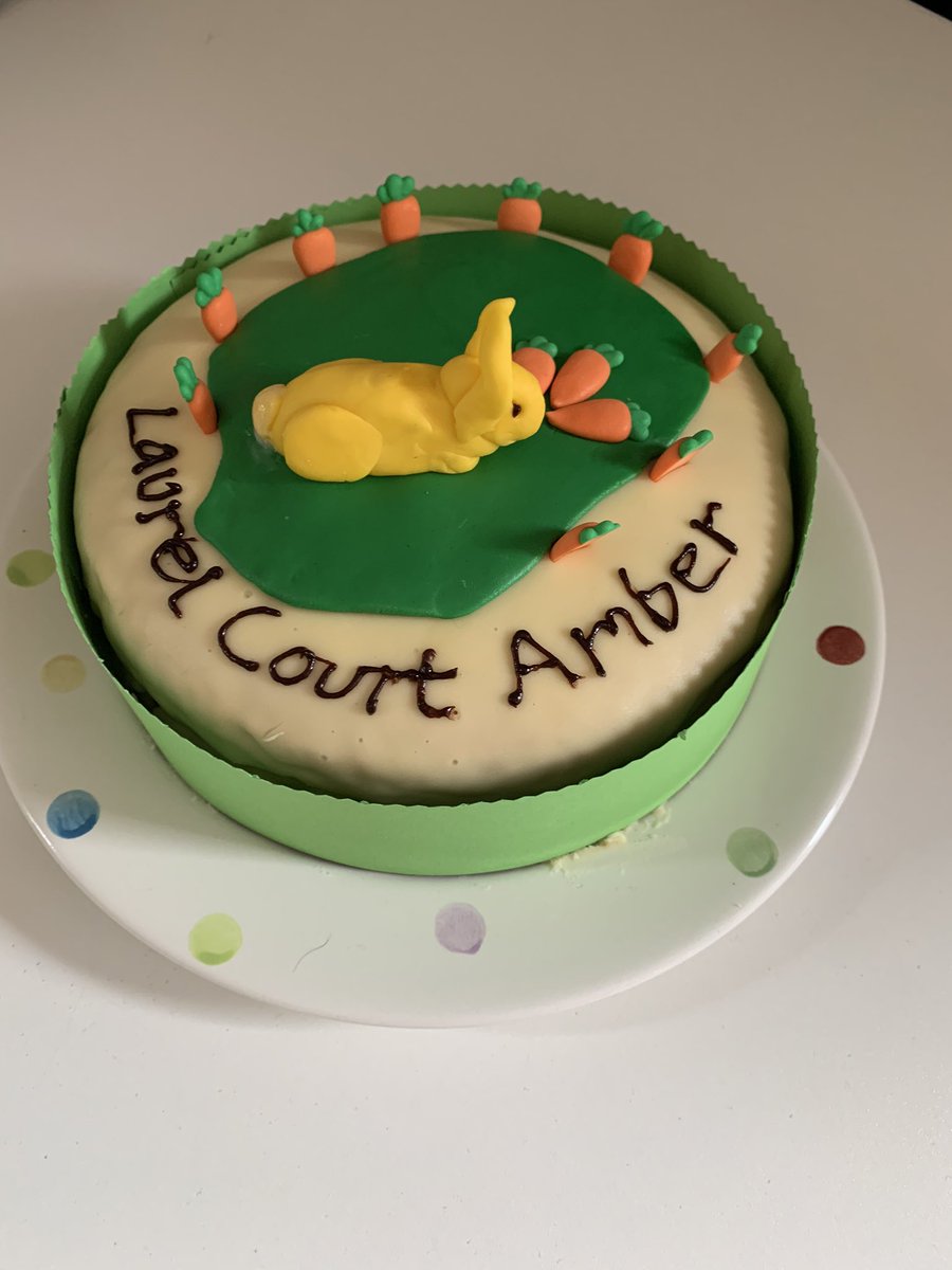 Jamieloucooper's tweet photo. A fanatic cake made by @LauraineSweeney a tribute to our little rabbit Amber our sensory pet at Laurel Court. @RiversideUK @VicSalm @ChurchHomelessT #WHW2020 https://t.co/QF3YQBiir6