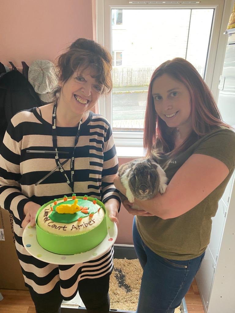 Jamieloucooper's tweet photo. A fanatic cake made by @LauraineSweeney a tribute to our little rabbit Amber our sensory pet at Laurel Court. @RiversideUK @VicSalm @ChurchHomelessT #WHW2020 https://t.co/QF3YQBiir6