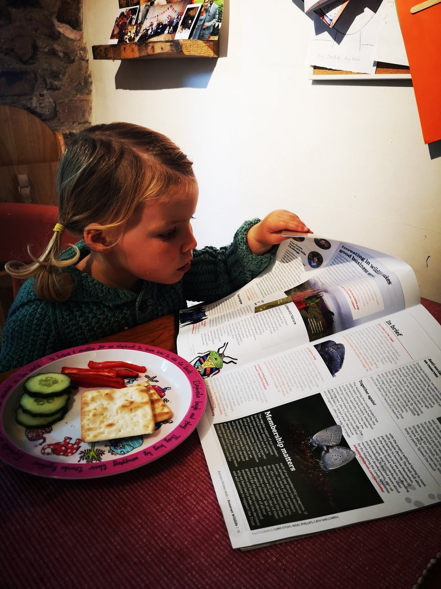 Lunchtime reading <a href="/SomersetWT/">Somerset Wildlife Trust</a> autumn/winter magazine!