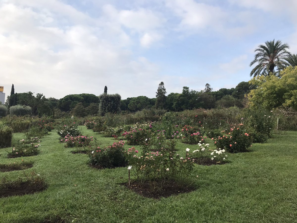 Fournier Brigitte tweet media