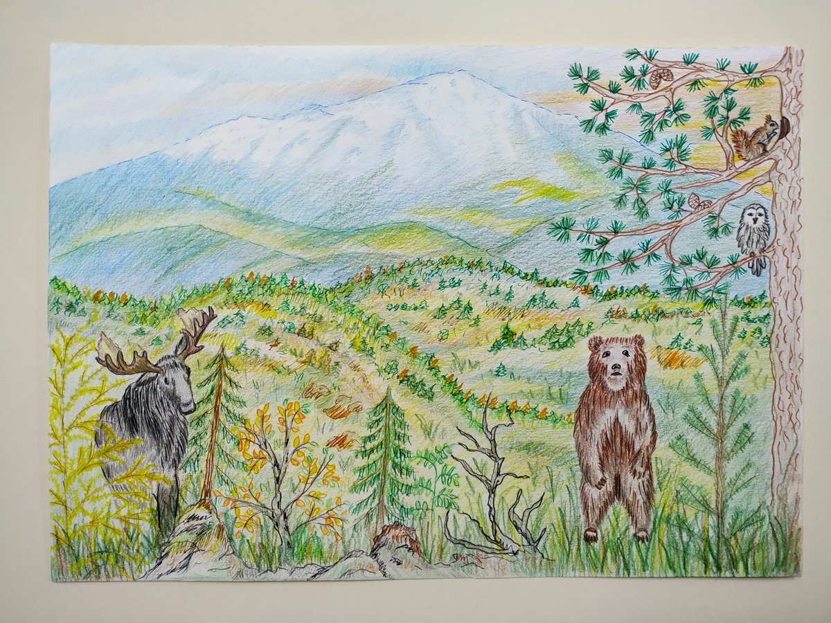 Denezhkin_Kamen's tweet image. ИТОГИ КОНКУРСА РИСУНКОВ "ПРИРОДА РОДНОГО КРАЯ" "МАРШ ПАРКОВ - 25 ЛЕТ".
denkamen.ru/node/468
#заповедник #ДенежкинКамень #конкурсрисунков