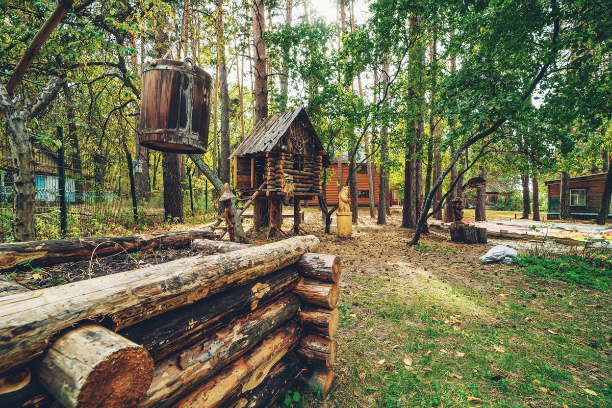 муранский бор шигонский. муранский бор турбаза самара. сосновый бор шигоны. муранский бор шигонский. муранский бор шигонский район самарская область.