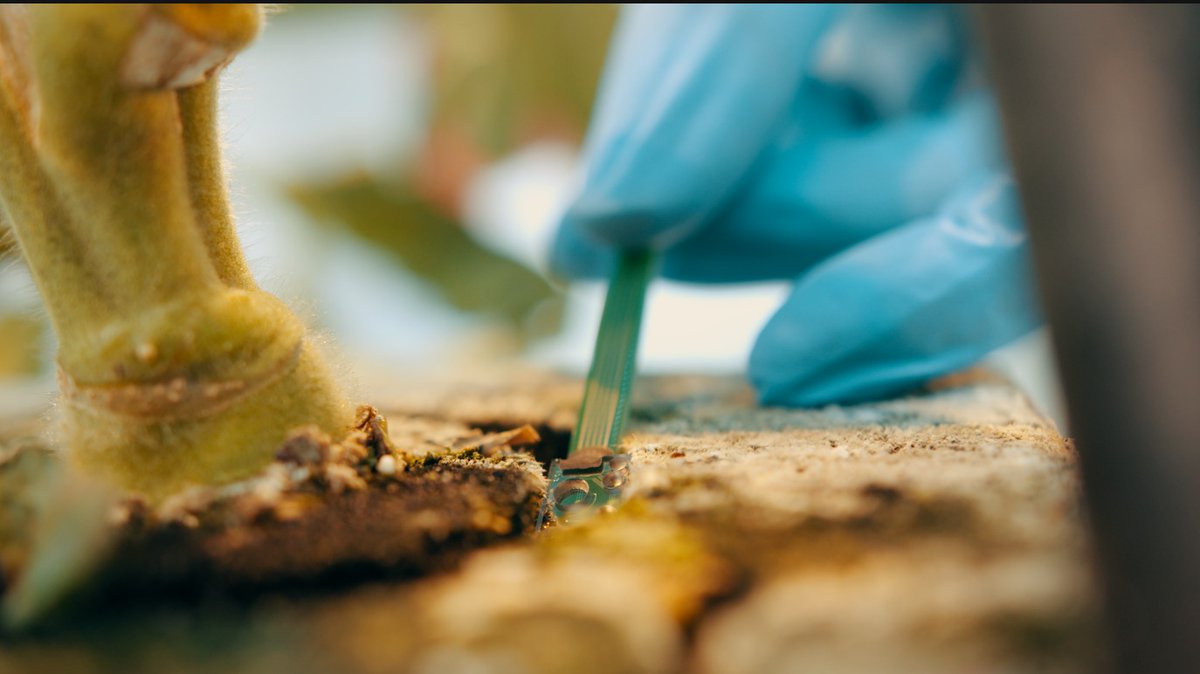 projectGROW! tweet media