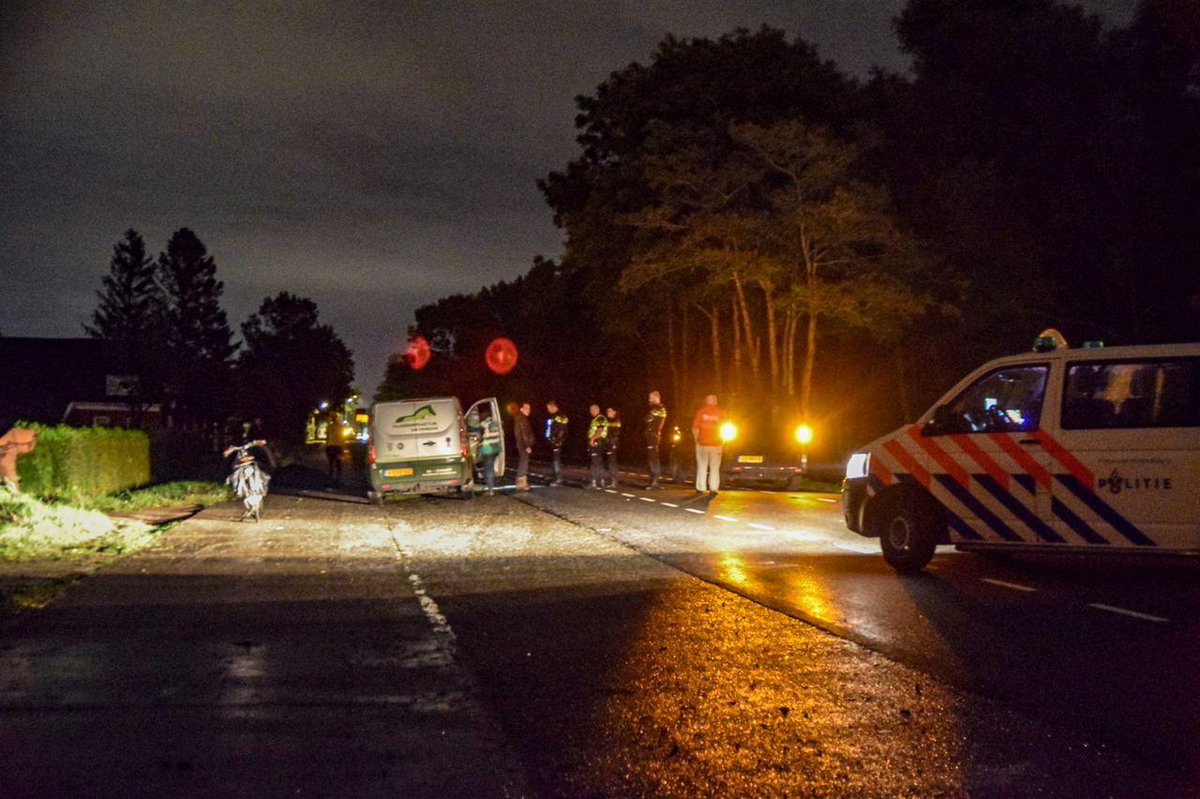 Ontsnapt paard ingeslapen na aanrijding met bestelbus #Groningen - -..
